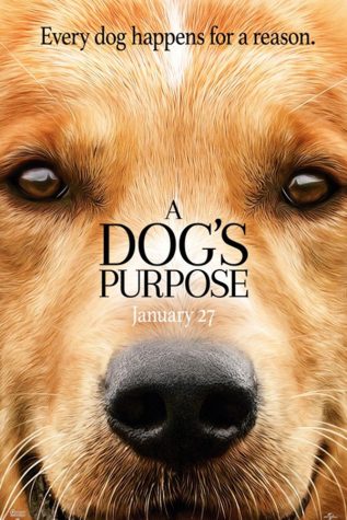‘Dog’s Purpose’ movie brings viewers to tears