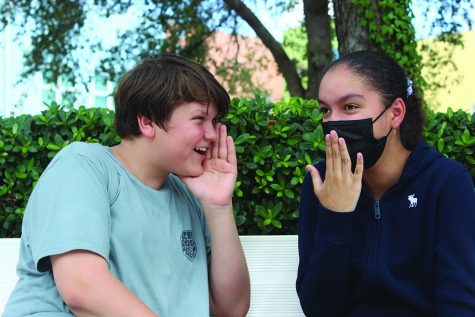 Sometimes, students peer pressure others into spreading lies.  According to verywellfamily.com, if everyone else in their circle of friends is gossiping or spreading rumors, kids feel like they have to do the same thing in order to be accepted.  Photo by Liliana Kirby
