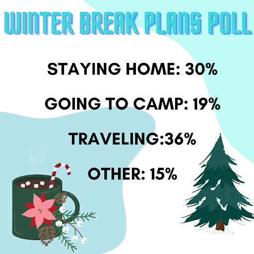 A total of 100 students were surveyed. Graphic by Monica Chirolde